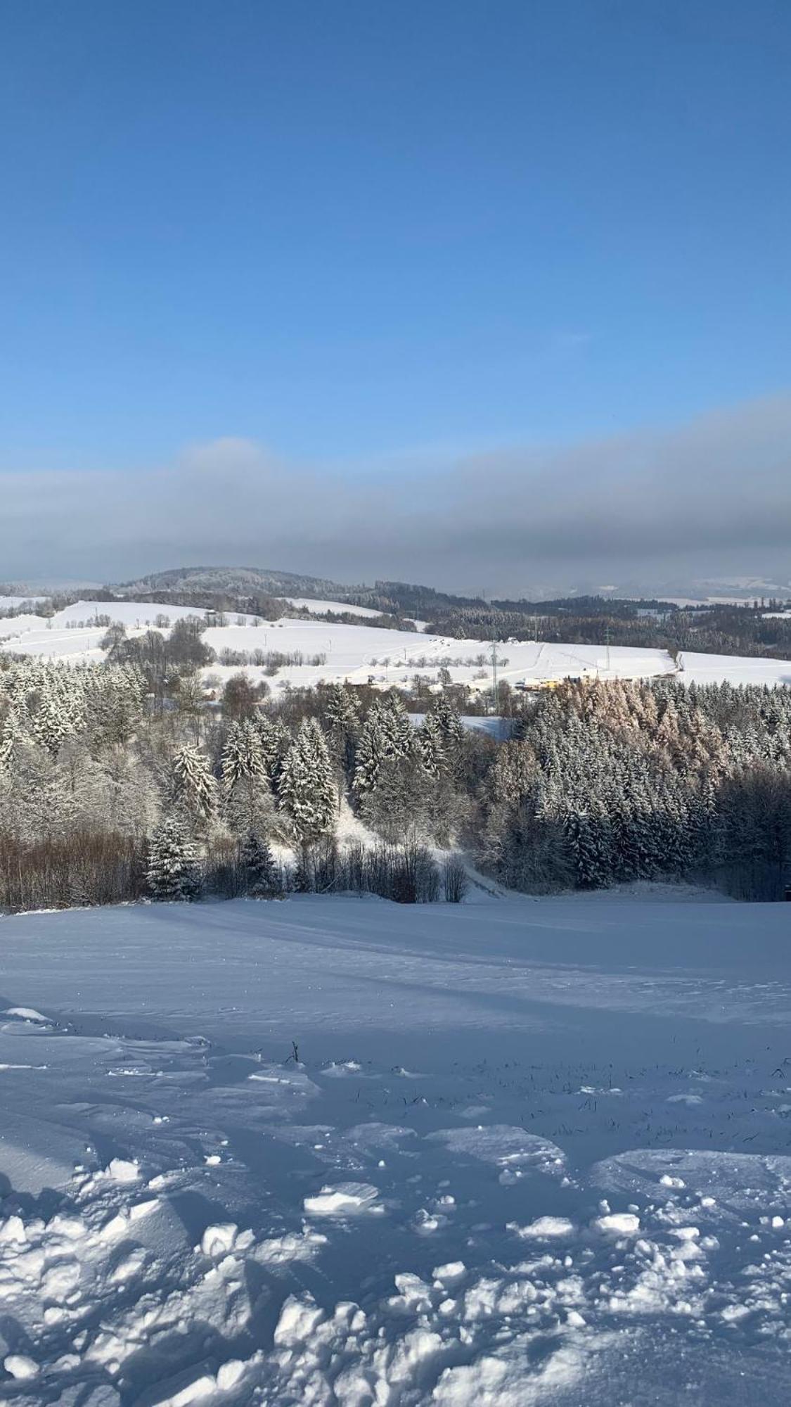 Restaurace A Penzion Gansberg Cotkytle Екстериор снимка